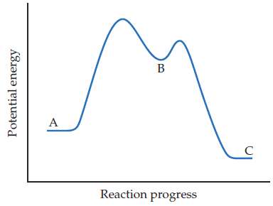 Based on the following reaction profile, how many intermediates are