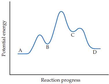 (a) Based on the following reaction profile, how many intermediates