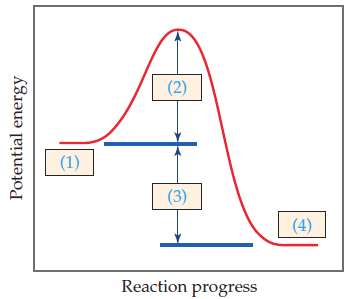 The following diagram shows the reaction profile of a reaction.