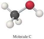 Each of the three molecules shown here contains an OH