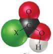 Consider the molecular models shown here, where X represents a