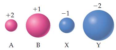 Illustrated are four ions-A, B, X, and Y- showing their