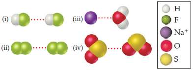 (a) Which kind of intermolecular attractive force is shown in