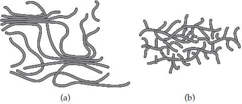 Shown here are cartoons of two different polymers. Based on