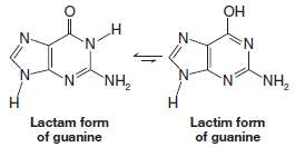 (a) The most stable tautomeric form of guanine is the