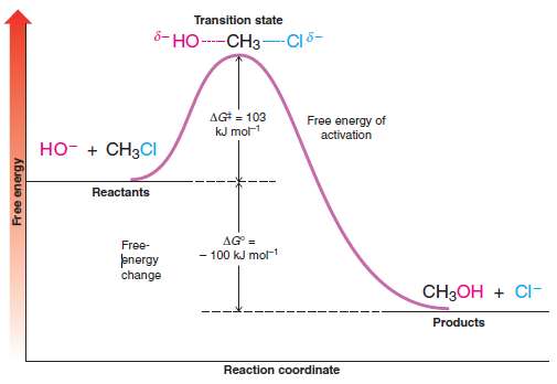 Draw a hypothetical free-energy diagram for the SN2 reaction of