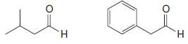 What four Î²-hydroxy aldehydes would be formed by a crossed