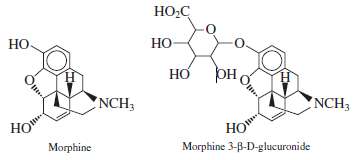 Morphine and morphine 3-Î²-D-glucuronide were separated on two different 4.6-mm