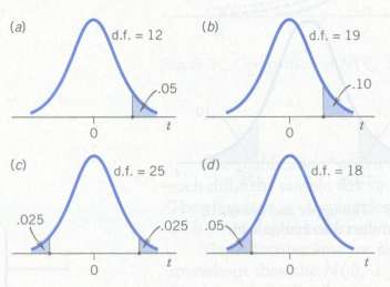 Name the t percentiles shown and find their values from