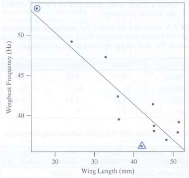 Is there a relationship between wing length (mm) and wing