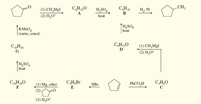 Determine the structures of compounds A through G, including stereochemistry