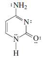Explain why each compound is aromatic, antiaromatic, or nonaromatic.
(a)
(b)
(c)
(d)
(e)
(f)

