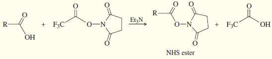 There are many methods for activating a carboxylic acid in