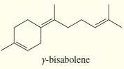Carefully circle the isoprene units in the following terpenes, and