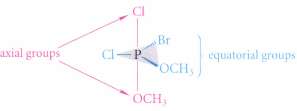 In a structure containing a pentacoordinate phosphorus atom, the bonds