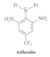 How would the basicity of trifluralin, a widely used herbicide,