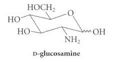 Explain with a mechanism why treatment of the 2- deoxy-2-amino