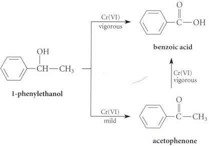 A compound B has the formula C8H10. After vigorous oxidation,