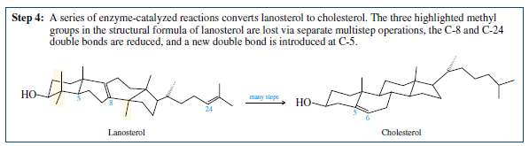 The biosynthetic pathway shown in Figure 26.10 was developed with