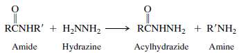 Hydrazine cleaves amide bonds to form acylhydrazides according to the