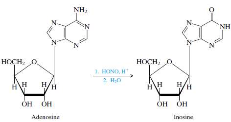 Treatment of adenosine with nitrous acid gives a nucleoside known