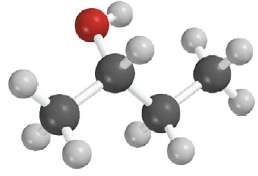 Does the molecular model shown represent (-)-2-butanol or (-)-2-butanol?