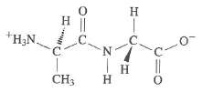 In the dipeptide below, indicate which bonds are described by