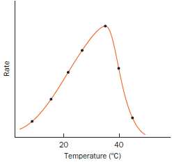 Explain why enzyme activity varies with temperature, as shown here.