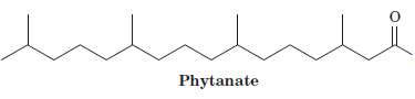 Digestion of plant materials generates phytanate (derived from chlorophyll molecules;