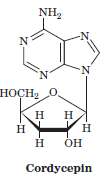The antibiotic cordycepin inhibits bacterial RNA synthesis.
(a) Of which nucleoside