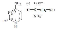 Identify the potential hydrogen bond donors and acceptors in the