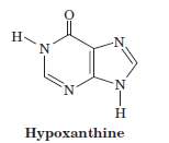 The adenine derivative hypoxanthine can base-pair with cytosine. Draw the