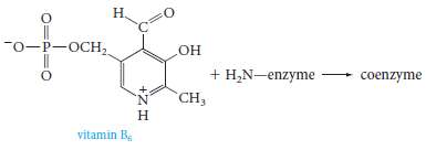 Vitamin B6 (an aldehyde) reacts with an enzyme (partial structure