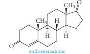 Androstenedione is a steroid touted for its muscle-building ability through
