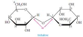 Trehalose is a disaccharide that is the main carbohydrate component