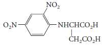 Angiotensin II is an octapeptide with vasoconstrictor activity. Complete hydrolysis