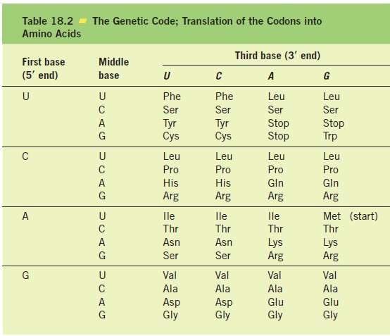 From Table 18.2, are mutations in the first or second