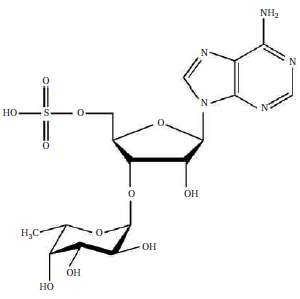 The glycosylated nucleoside monosulfate shown below was recently isolated from