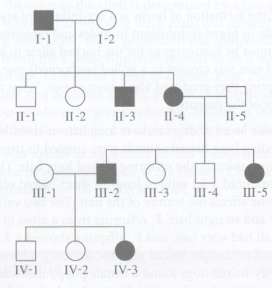 The pedigree shown here also concerns a trait determined by