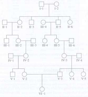 Using the pedigree shown here, answer the following questions for