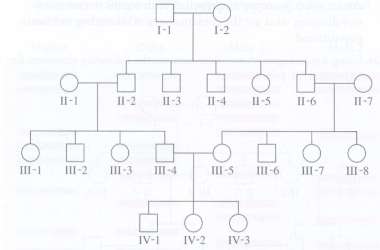 A family pedigree is shown here.
A. What is the inbreeding