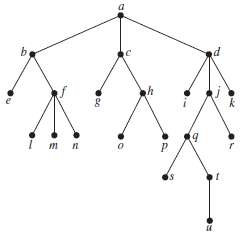 What is the level of each vertex of the rooted