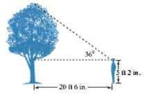 Find the height, width, area, and distance specified.
a. Total height