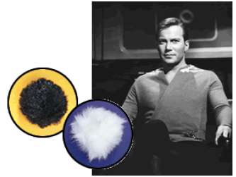 The life spans of wild tribbles are normally distributed with