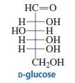 A. In aqueous solution, D-glucose exists in equilibrium with two
