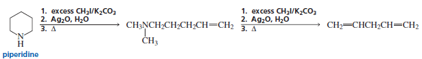 When piperidine undergoes the indicated series of reactions, 1,4-pentadiene is