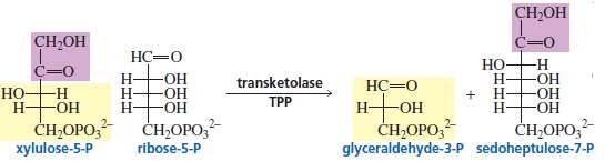 TPP is a coenzyme for transketolase, the enzyme that catalyzes