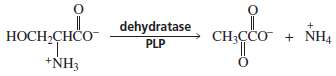 Dehydratase is a pyridoxal-requiring enzyme that catalyzes an Î±,Î²-elimination reaction.