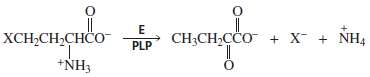 PLP can catalyze both Î±,Î²-eliminatin reactions (problem 31 and Î²,Î³-elimination