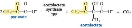 Acetolactate synthase is another TPP-requiring enzyme. It also catalyzes the
